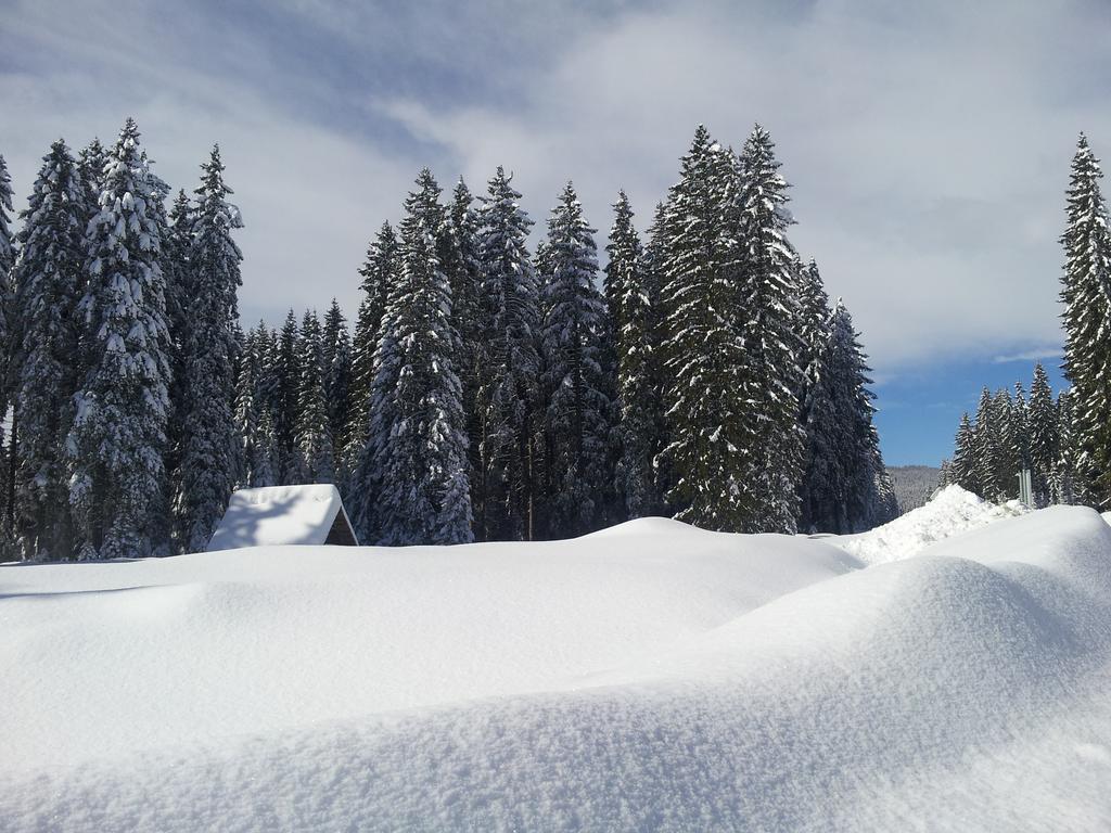 Hotel Jelka Pokljuka Goreljek Buitenkant foto