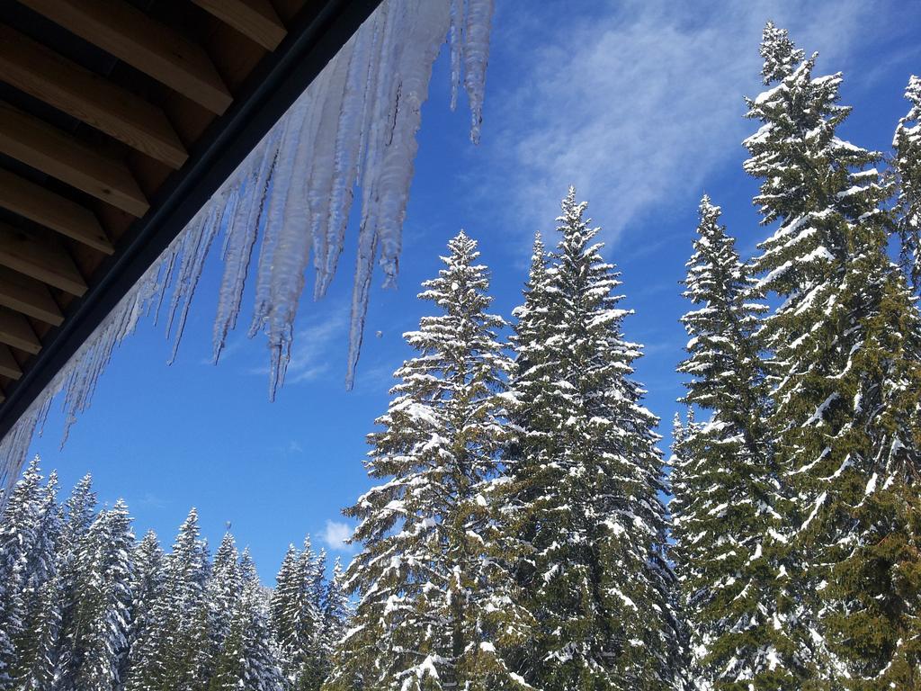 Hotel Jelka Pokljuka Goreljek Buitenkant foto