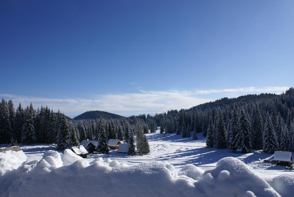 Hotel Jelka Pokljuka Goreljek Buitenkant foto